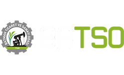 Batso